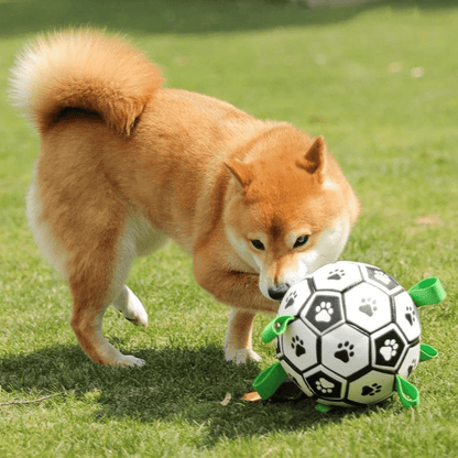 Ballon avec anse pour chien shiba