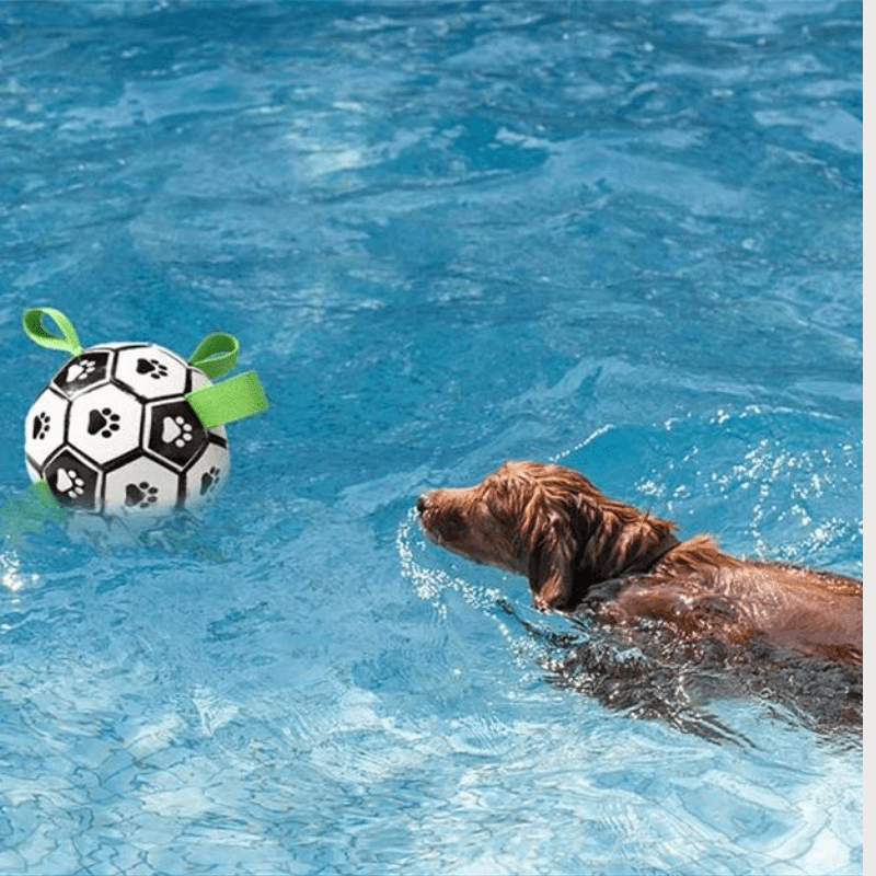 Ballon avec anse pour chien waterproof