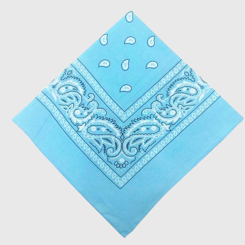 Bandana chien personnalise bleu clair