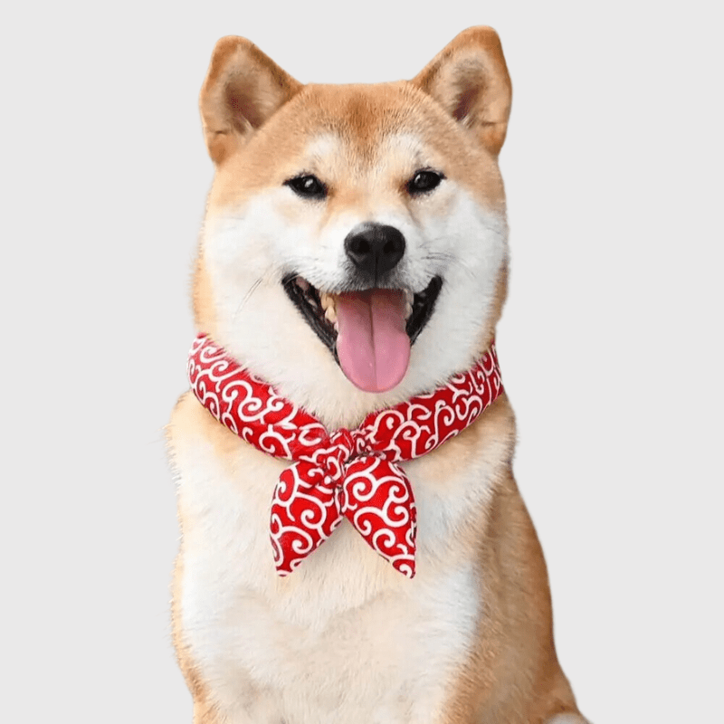 Bandana pour chien Noeud shiba