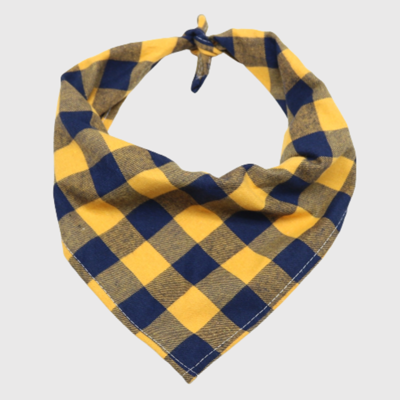 Bandana pour grand chien bleu jaune