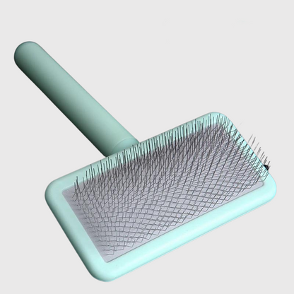 Brosse pour chien à poil court vert