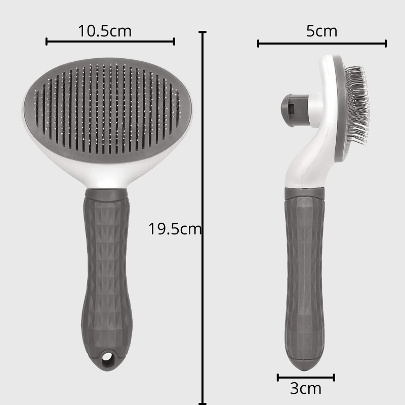 Brosse push ronde pour chien taille