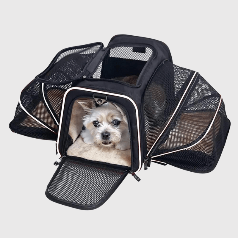 Caisse de transport chien pliable blanc