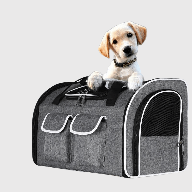 Caisse de transport chien pour voiture canin