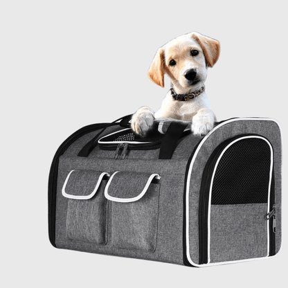 Caisse de transport chien pour voiture canin