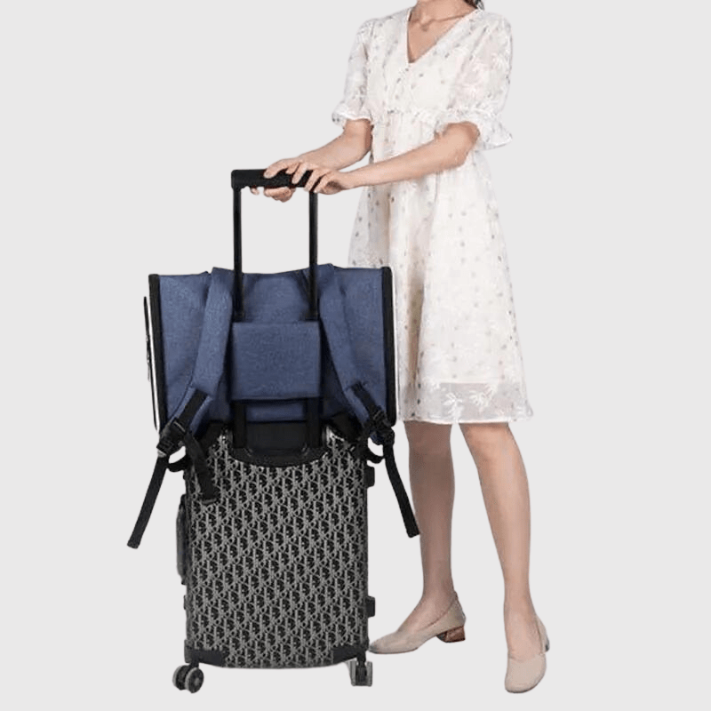 Caisse de transport chien pour voiture valise