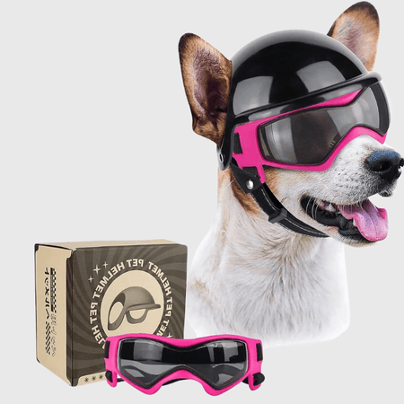 Casque de moto chien avec des lunettes Colorés rose