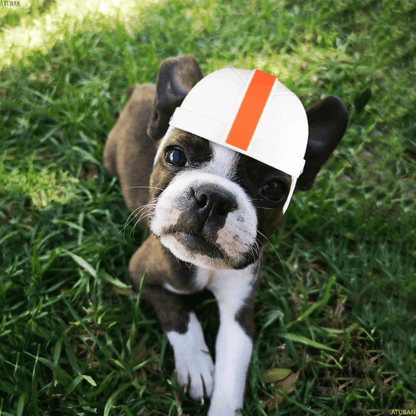 Casque de moto pour petit chien boxer