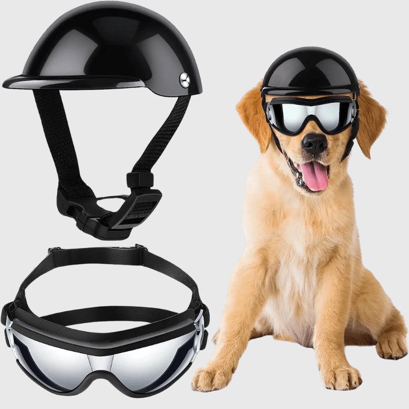 Casque et lunette de moto Noir pour chien chiot