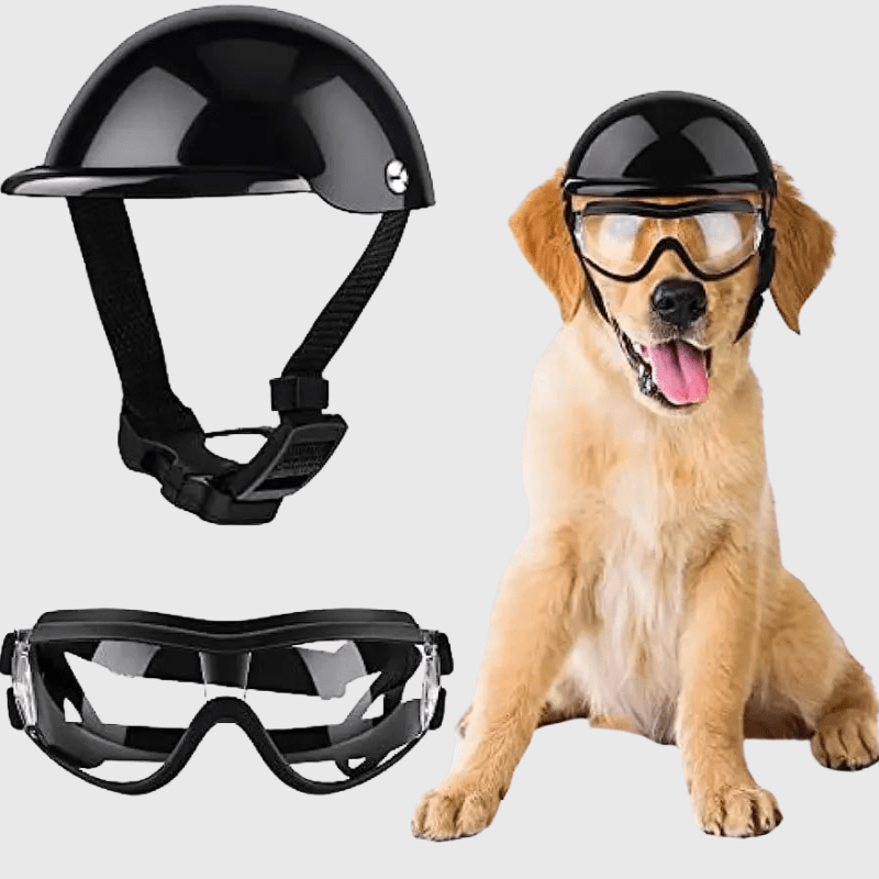 Casque et lunette de moto Noir pour chien transparent