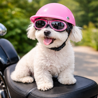 Casque moto cuir vintage pour chien