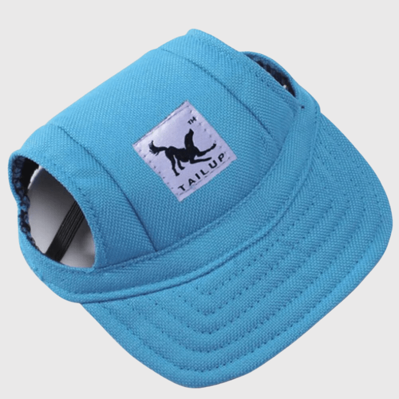 Casquette pour chien coloré bleu