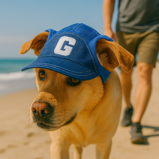 Casquette pour grand chien bleu a la plage avec son maitre
