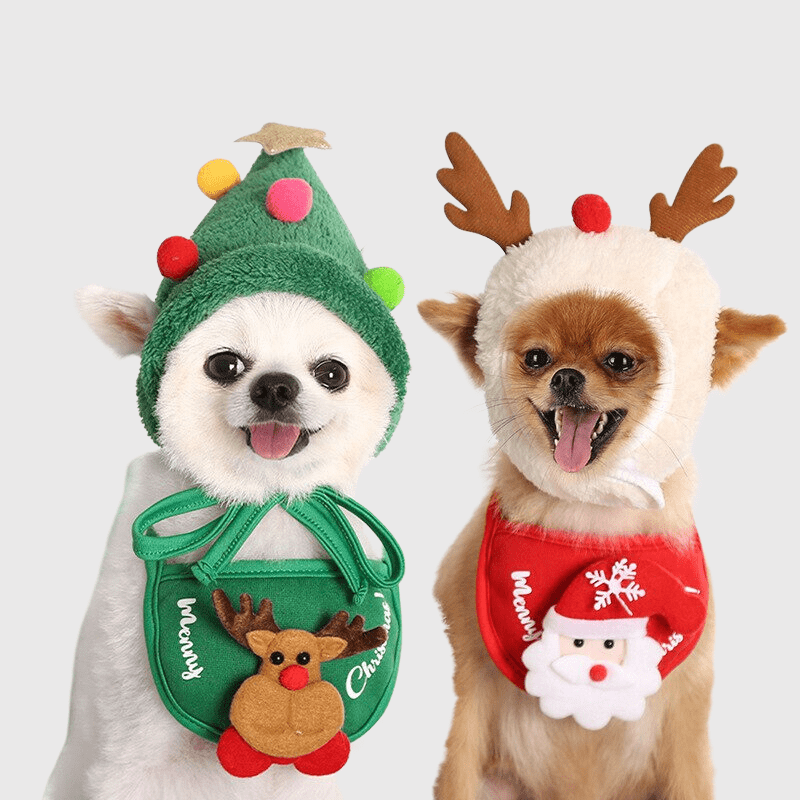 Casquette pour petit chien fête de fin d'année caniche