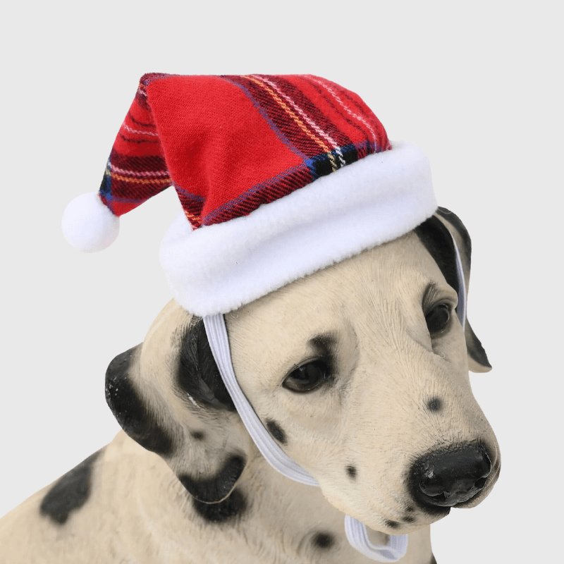 Chapeau de noël pour chien dalmacien