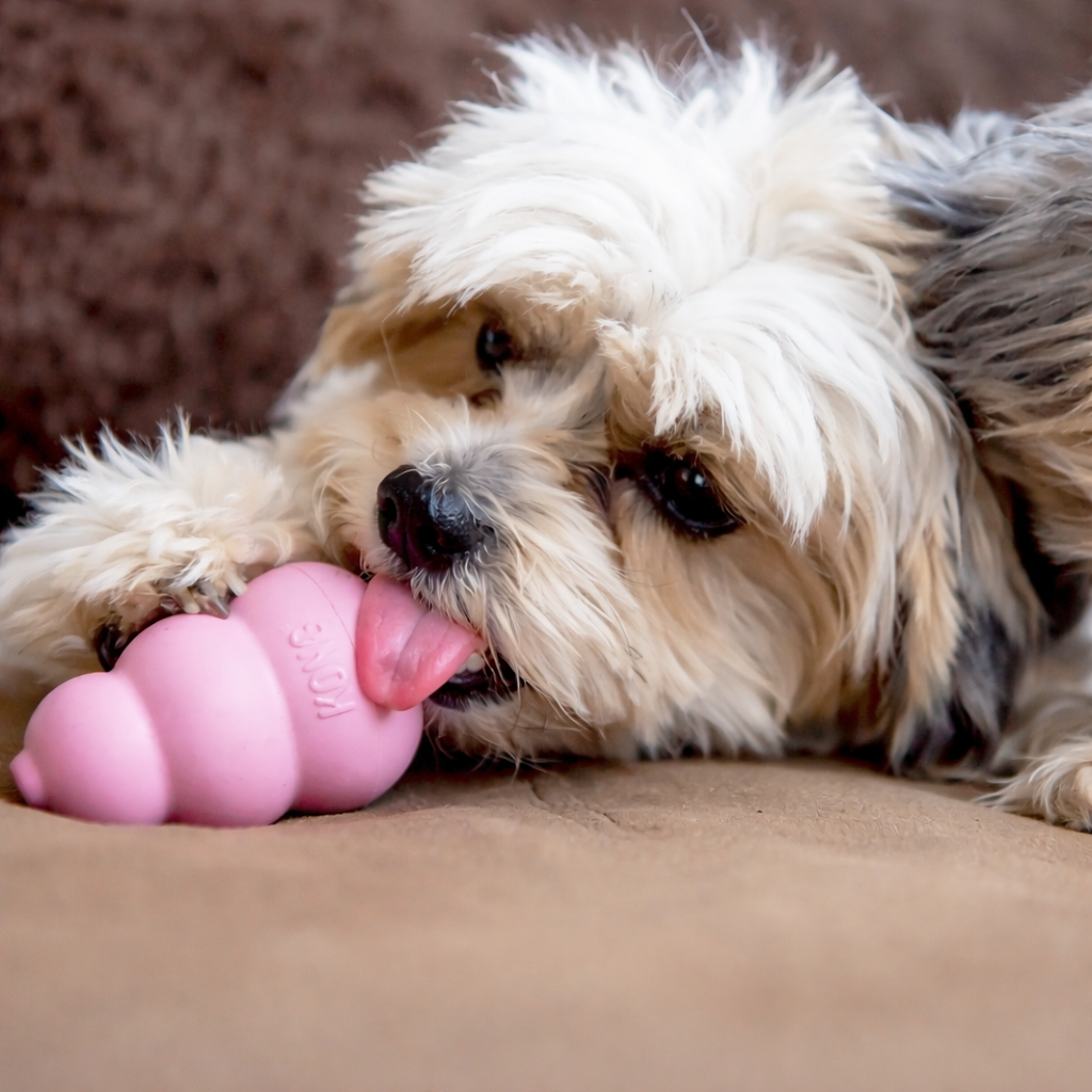 Jouet à mâcher pour chien : un accessoire interactif pour le jeu et la stimulation