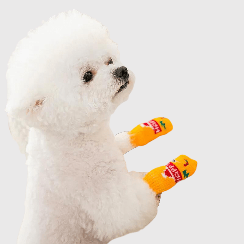 Chaussette Orange "happy" pour chien caniche