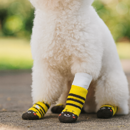 Chaussette pansement chien blesse