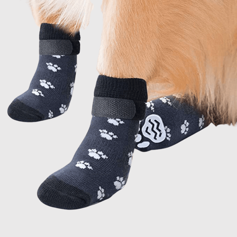 Chaussettes protection pour chien petite patte de chien