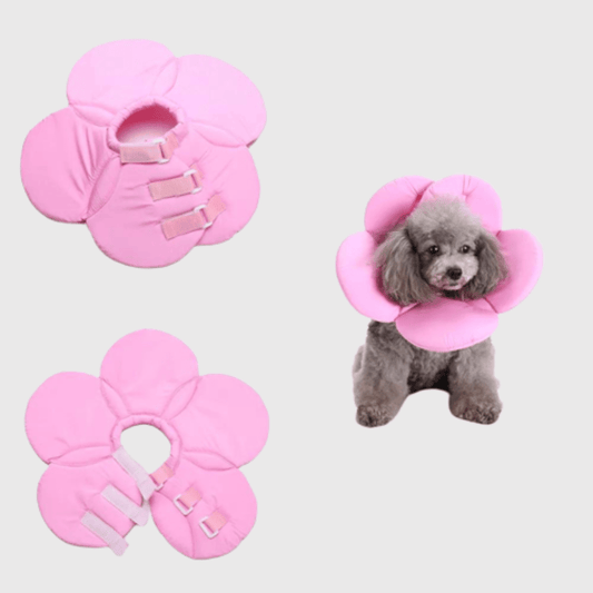 Collerette chien en forme de fleur rose