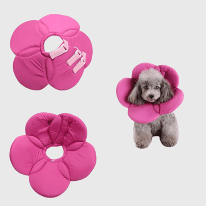 Collerette chien en forme de fleur violette 