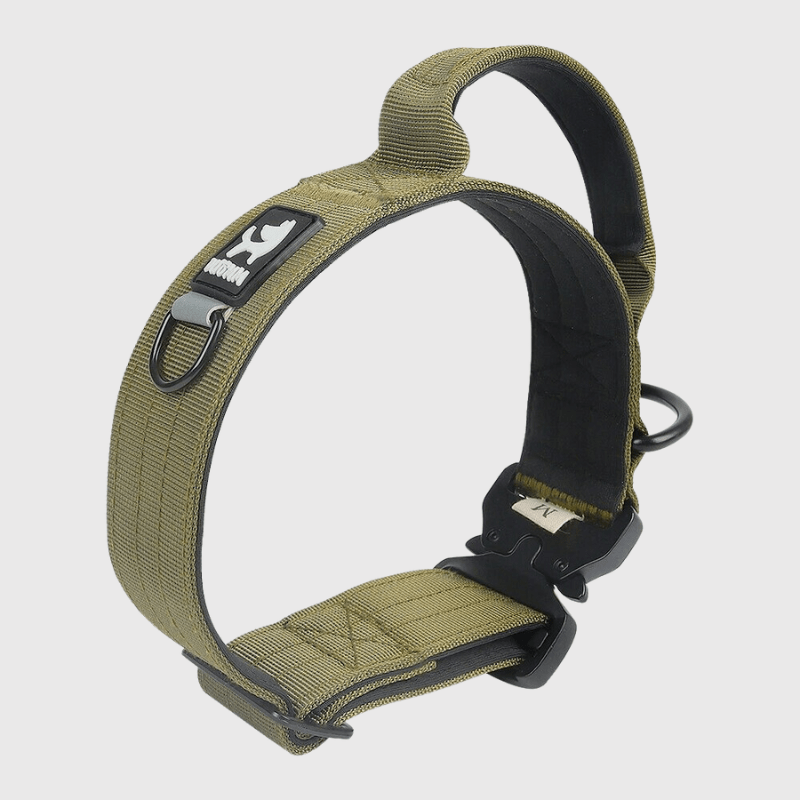 Collier avec poignée pour chien kaki