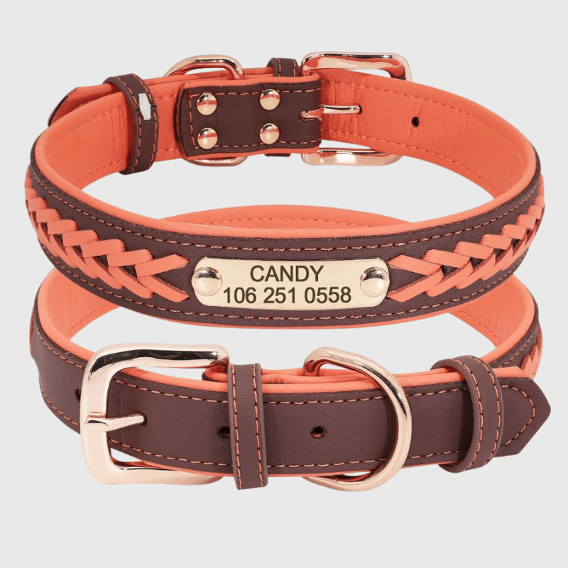 Collier chien corde orange