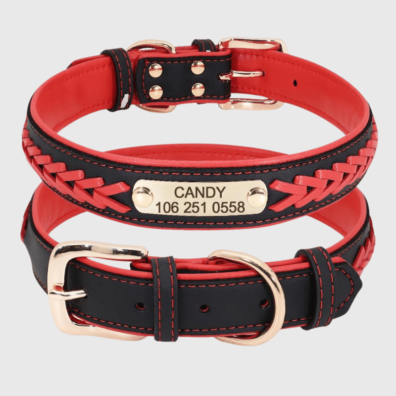 Collier chien corde rouge