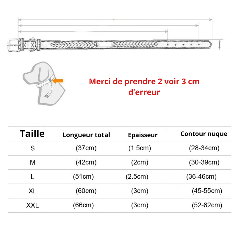Collier chien corde taille