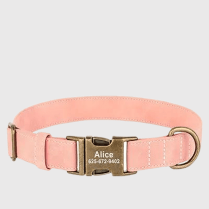 Collier chien grave rose