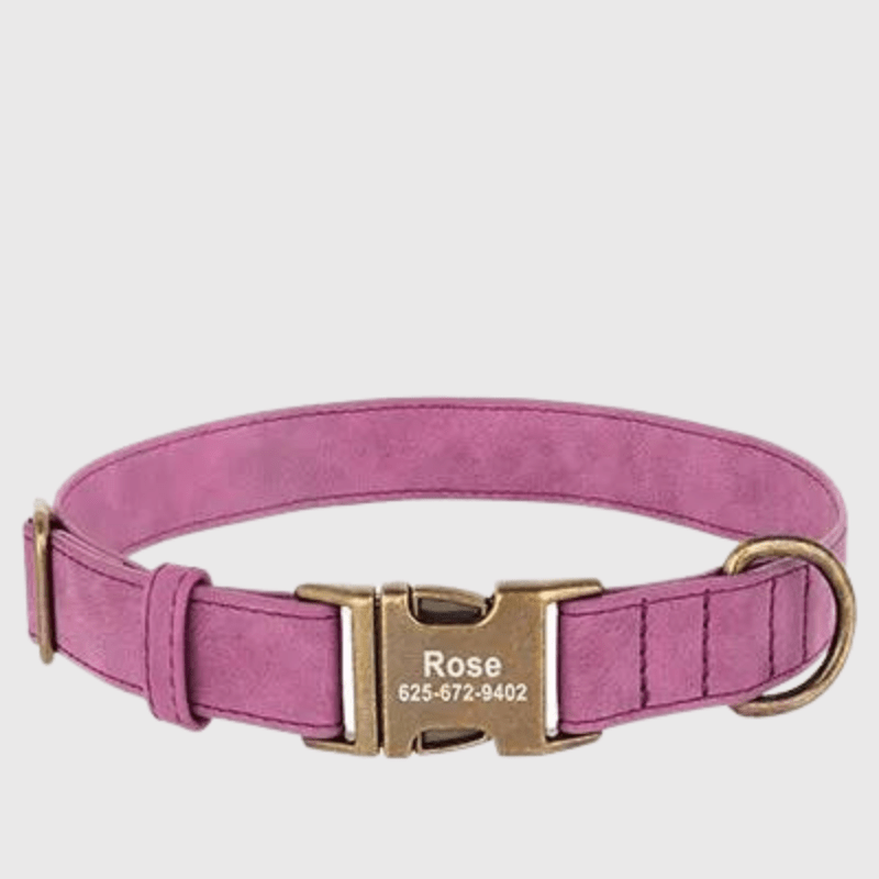 Collier chien grave violet