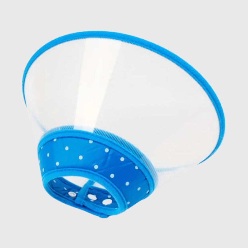 Collier chien lune plastique bleu