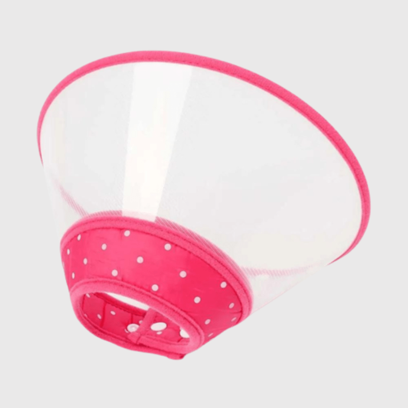 Collier chien lune plastique rose
