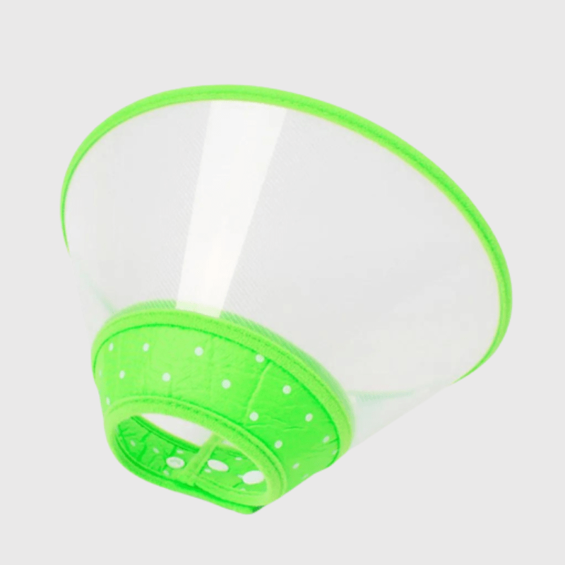 Collier chien lune plastique vert