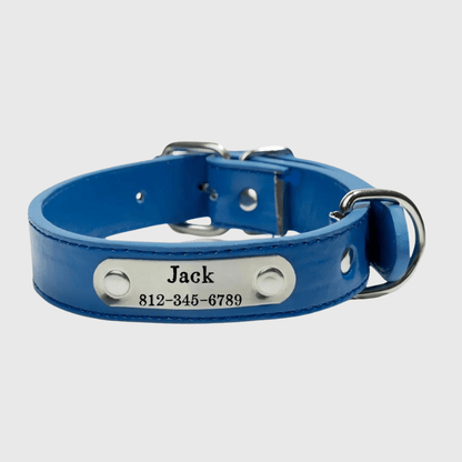 Collier chien personnalisé prénom bleu