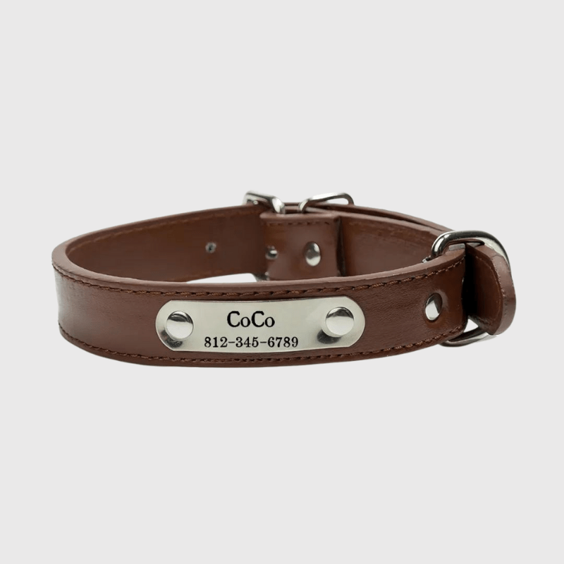 Collier chien personnalisé prénom marron