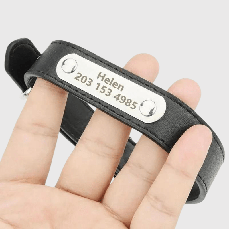 Élégance et style pour votre compagnon à quatre pattes