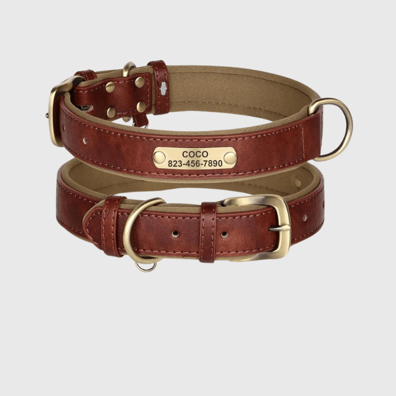 Collier chien plaque​ marron