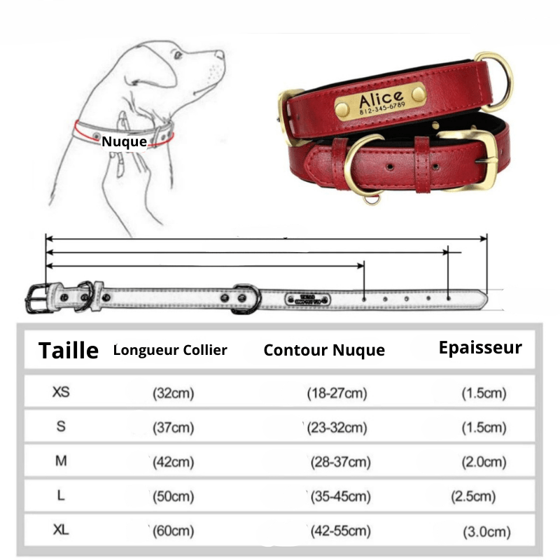 Collier chien plaque​ taille