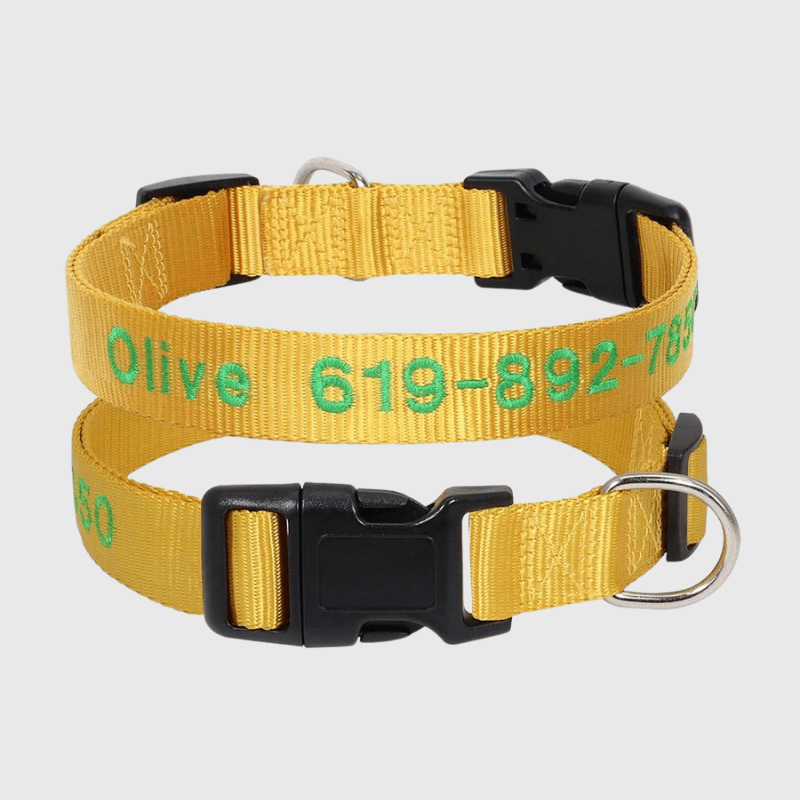 Collier cousu personnalisable pour chien jaune