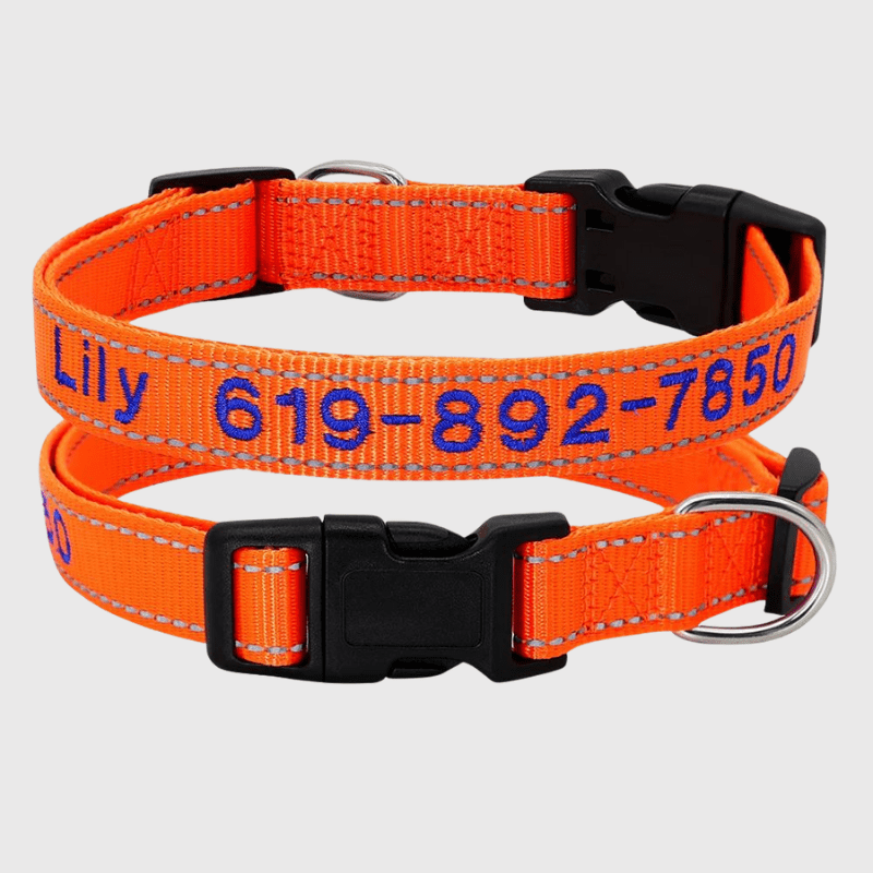 Collier cousu personnalisable pour chien orange