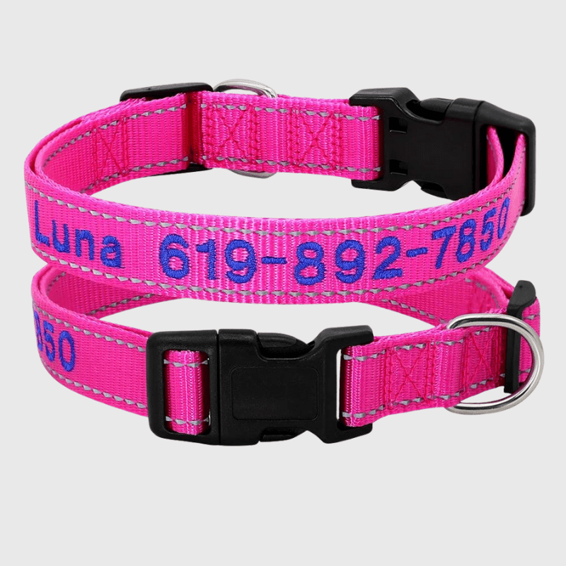 Collier cousu personnalisable pour chien rose fluo