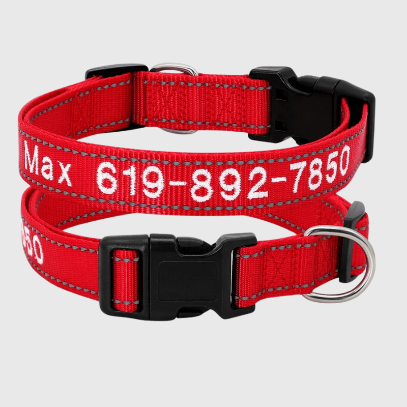 Collier cousu personnalisable pour chien rouge