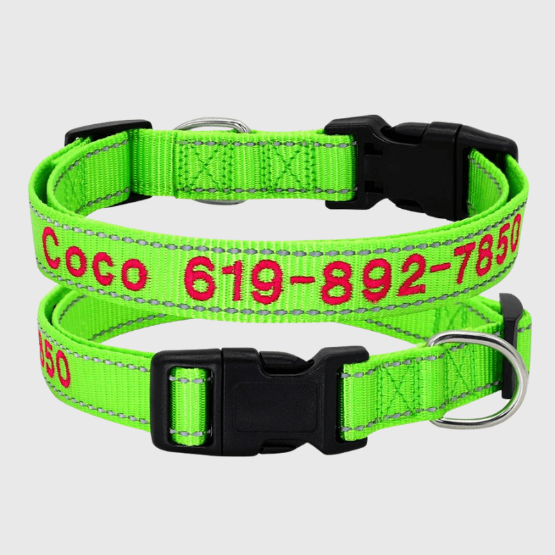 Collier cousu personnalisable pour chien vert clair