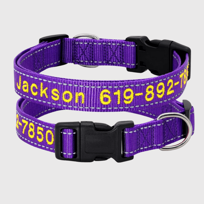 Pourquoi choisir ce collier cousu personnalisable pour chien ?