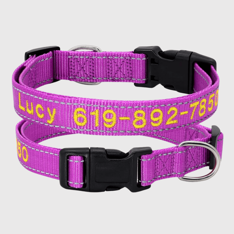 Collier cousu personnalisable pour chien violet clair