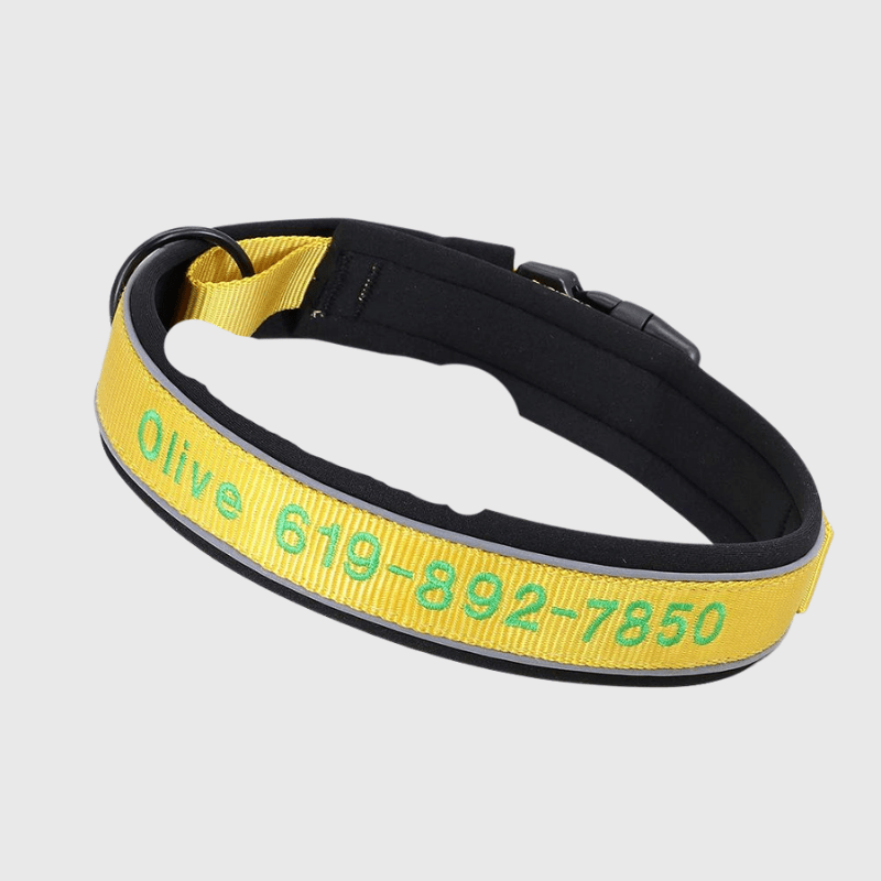 Collier de Chasse pour Chien jaune