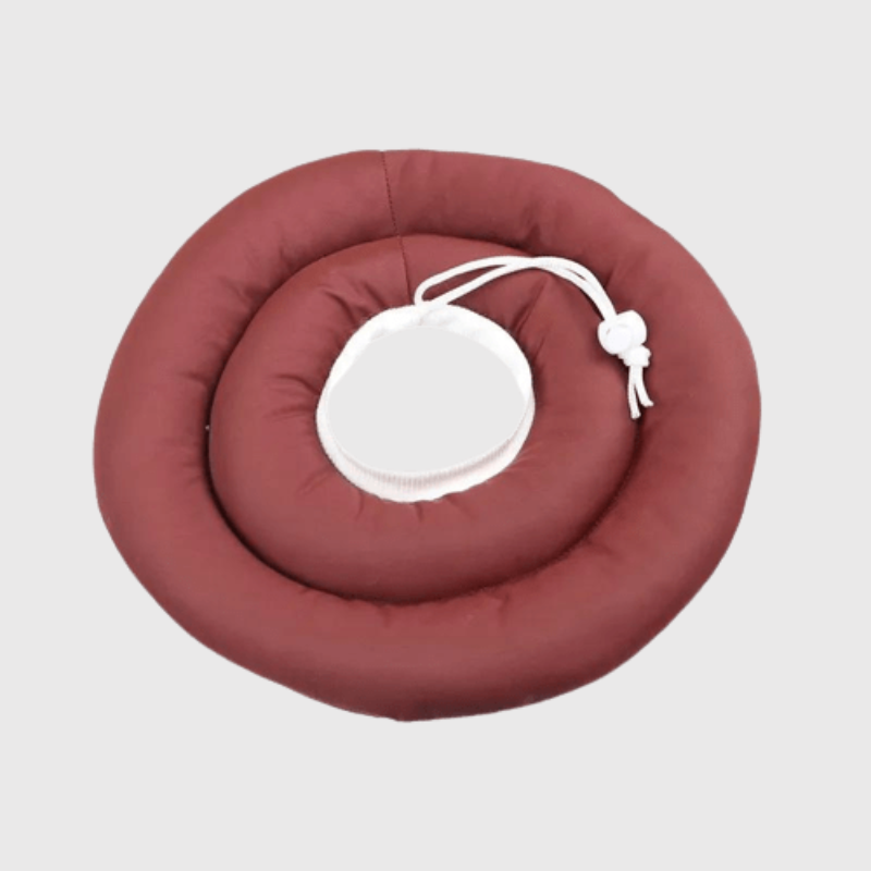 Collier de protection pour chien rouge bordeau