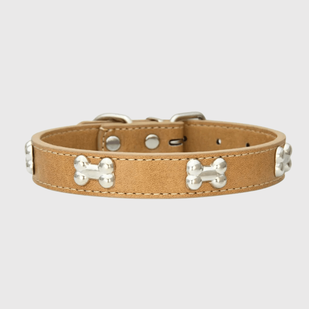 Collier en cuir pour chien motif os beige